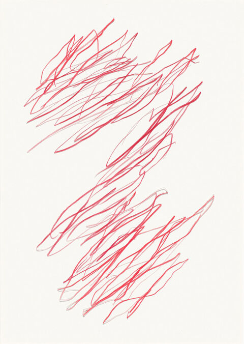 Katharina Hinsberg, Schraffen, 2024